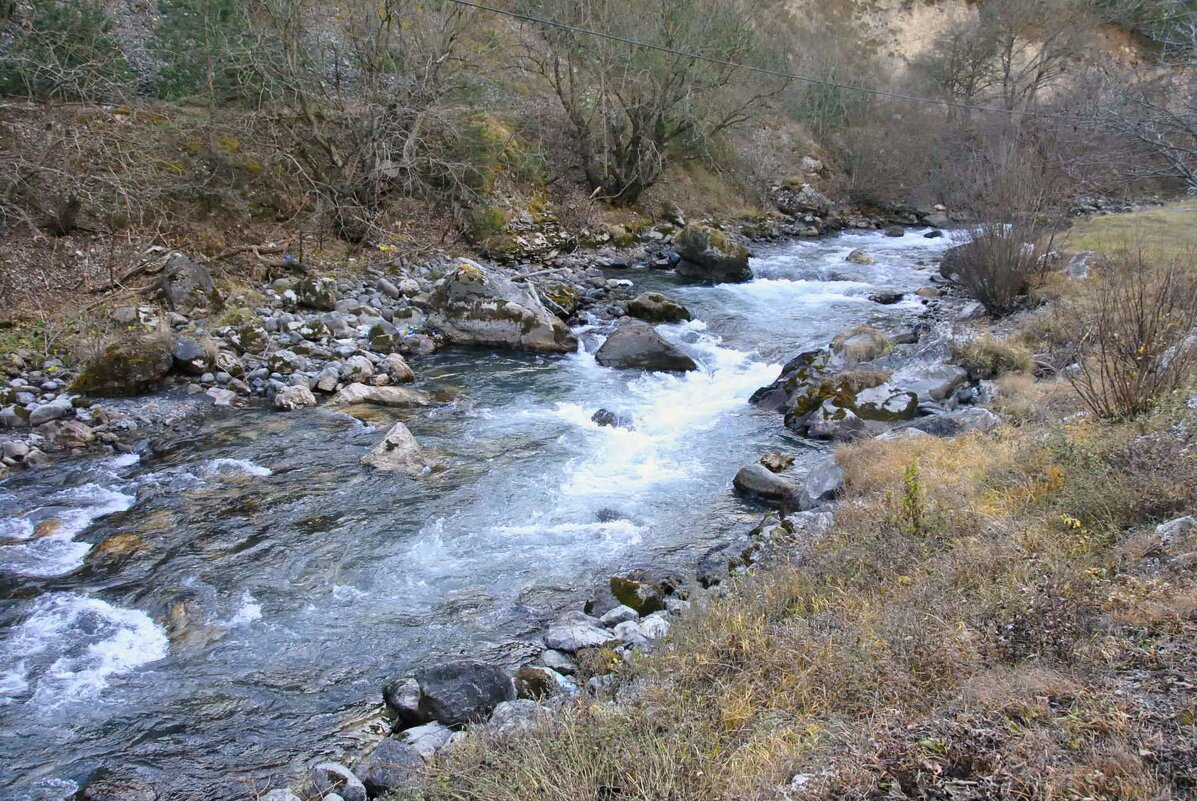 *** - Марина Виноградова