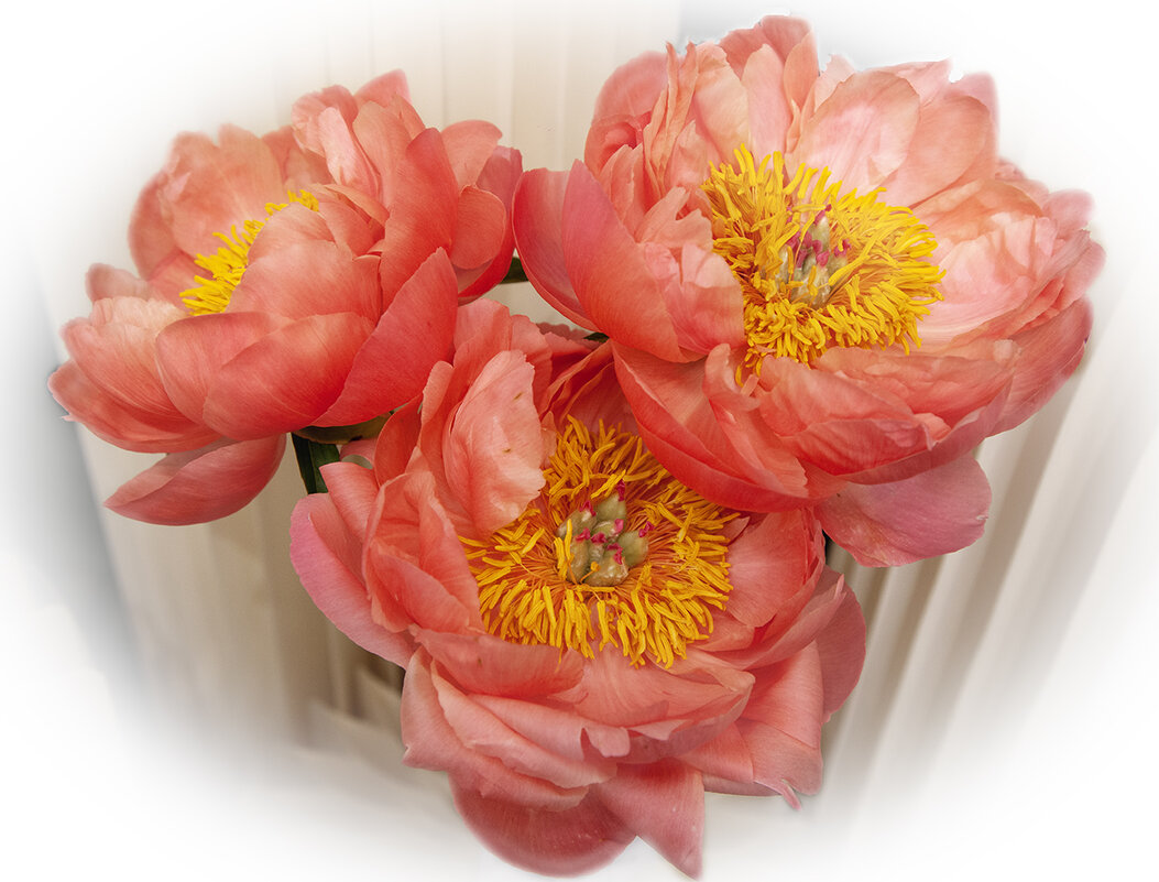 С днём фотографа!!! - Лилия *