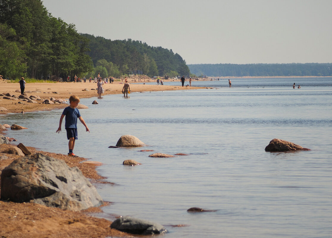 На берегу Финского залива - Магомед .