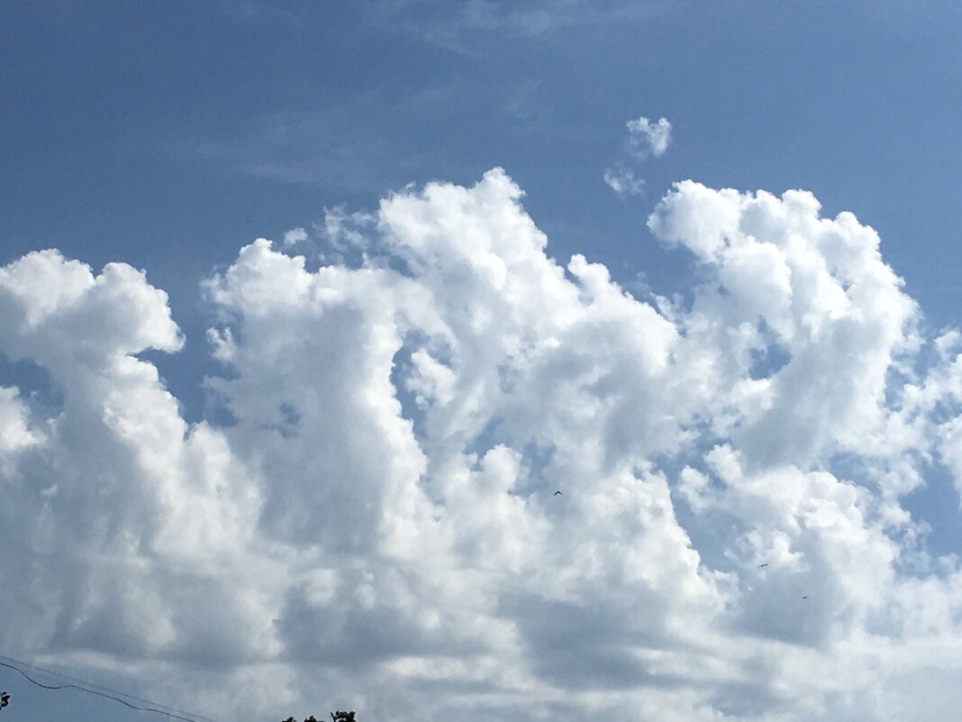 Облака... - Владимир Павлов