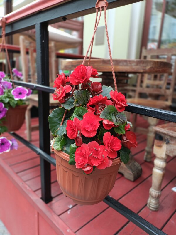 лето в городе - Галина R... лето в городе - Галина R...