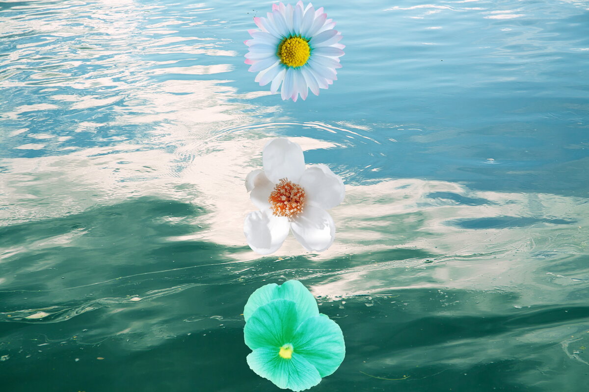 Назва. отсу. - Денис Безногов