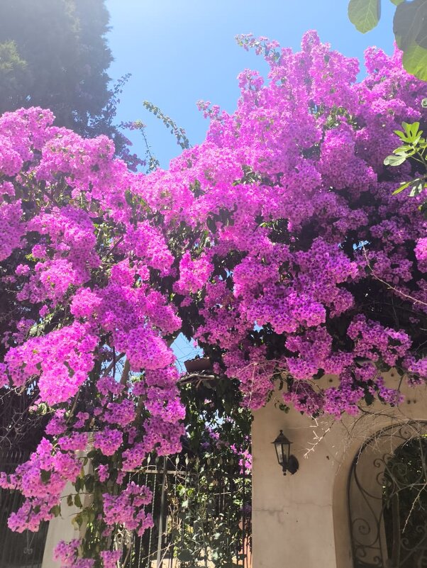 В Турции - Валентина Богатко 