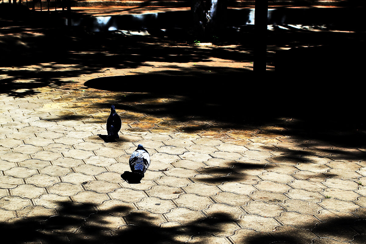 В поисках хлеба - Юрий Гайворонскiий