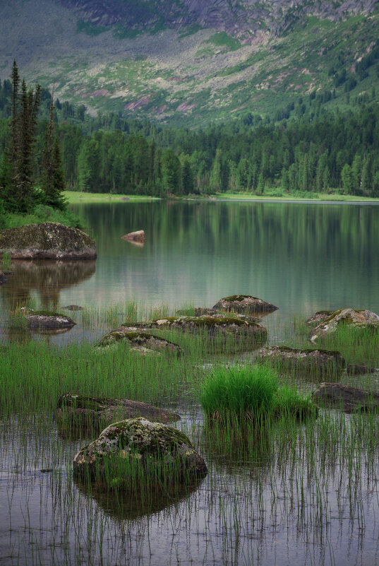 * - Александр Иванов