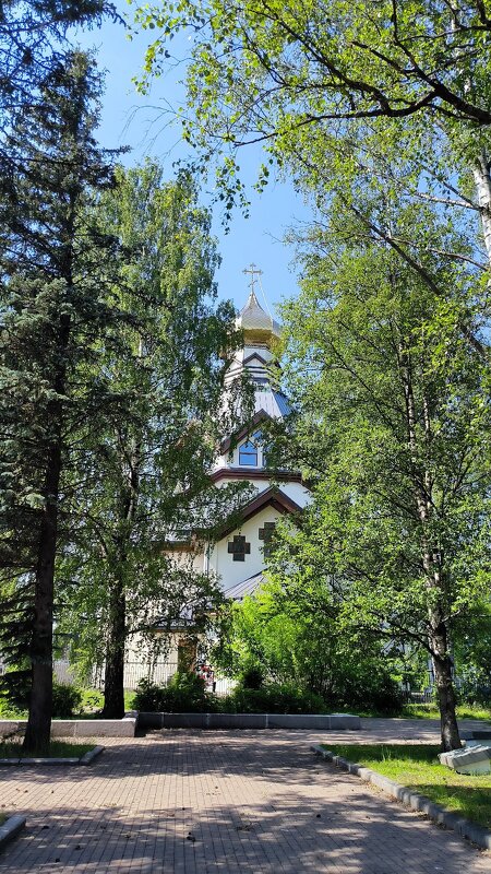 Жара.Июль. - Ольга 