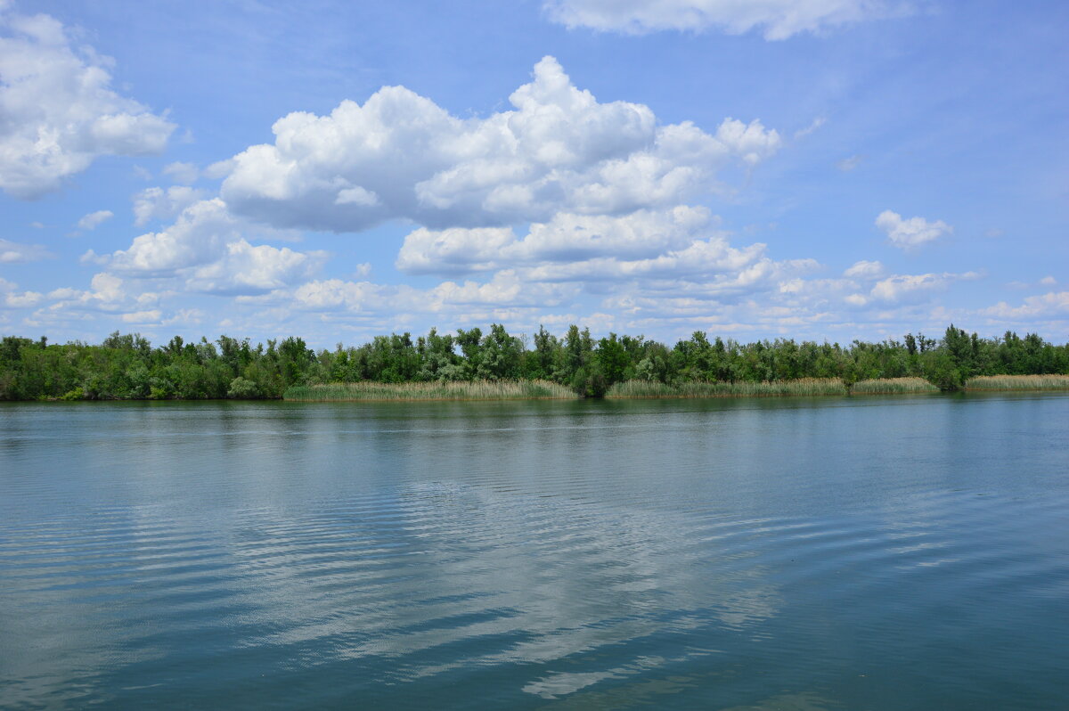 Местные зарисовки. - Виктор 