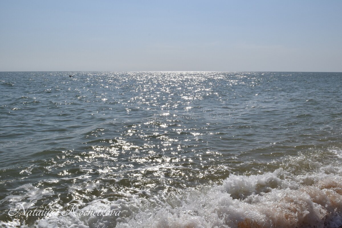 Природа Крыма - Amazing Cosmea