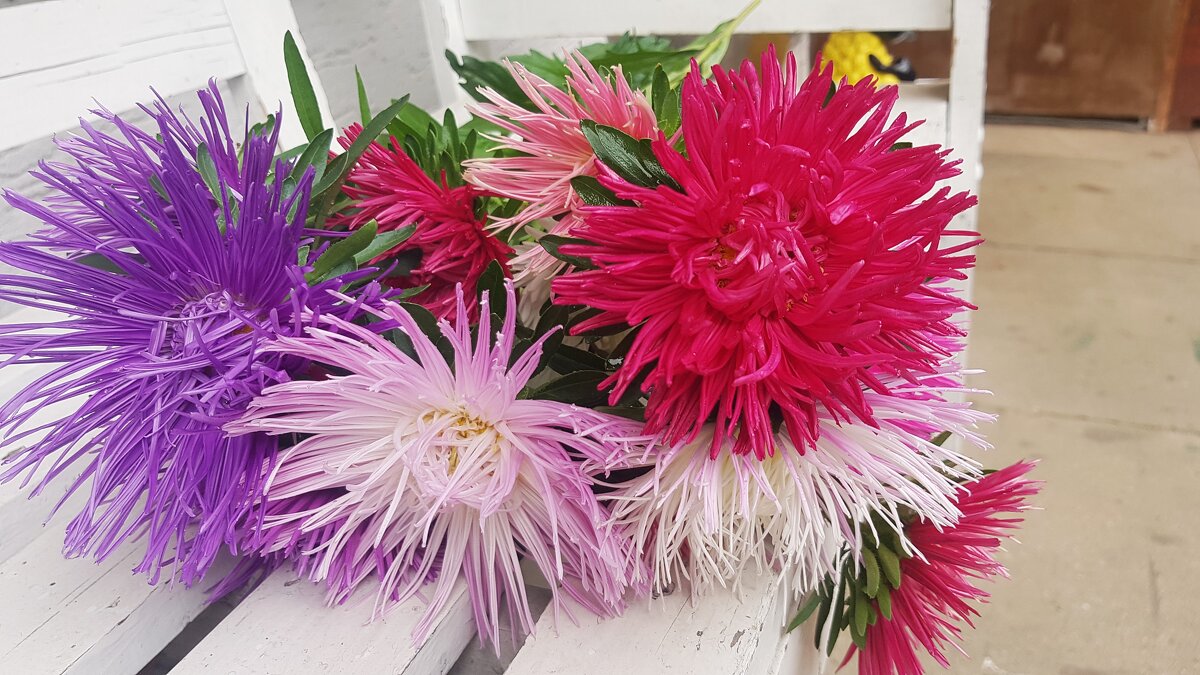 *** - Геннадий. Э.