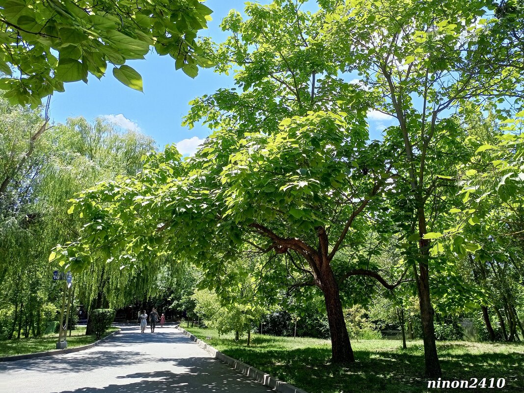 В ростовском зоопарке - Нина Бутко В ростовском зоопарке - Нина Бутко