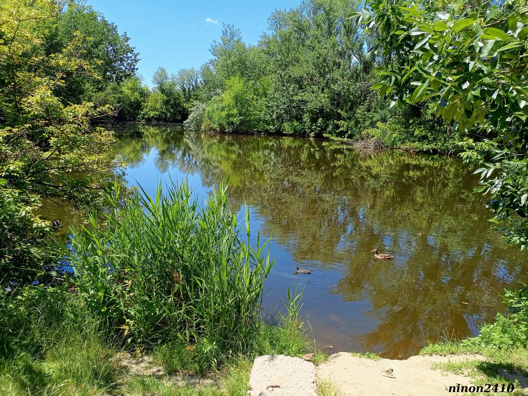 В ростовском зоопарке - Нина Бутко