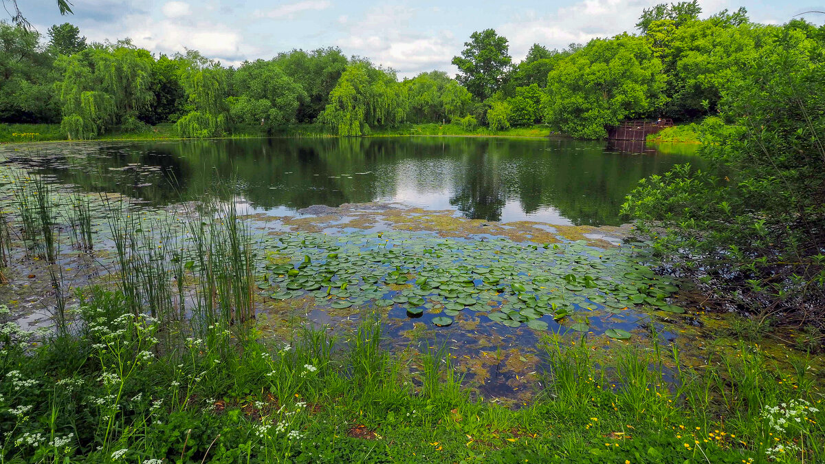 ***** - юрий поляков