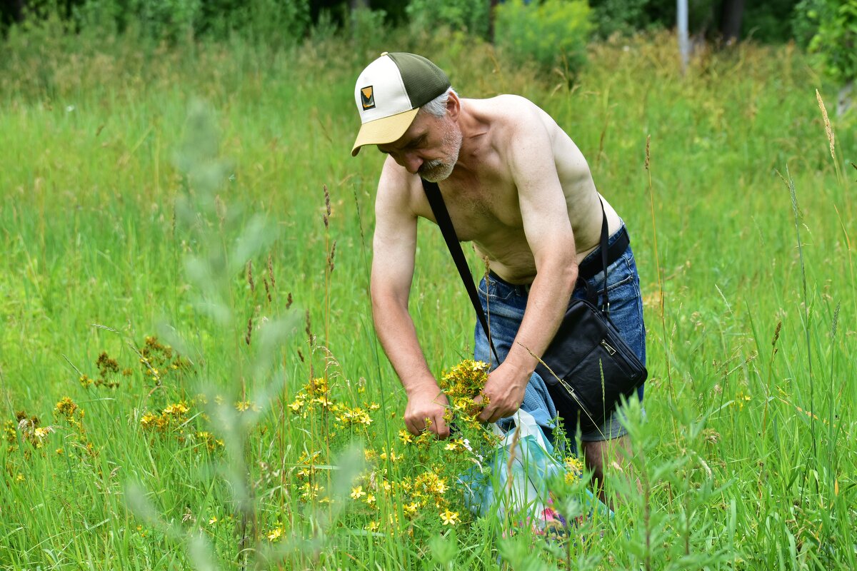 Шаман собирает травы. - Наталья Вязигина