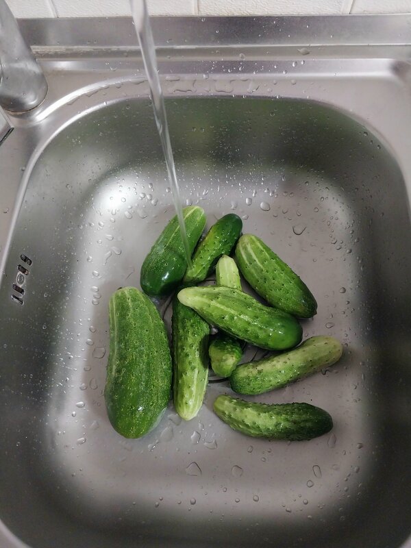 Talgar. - Murat Bukaev 