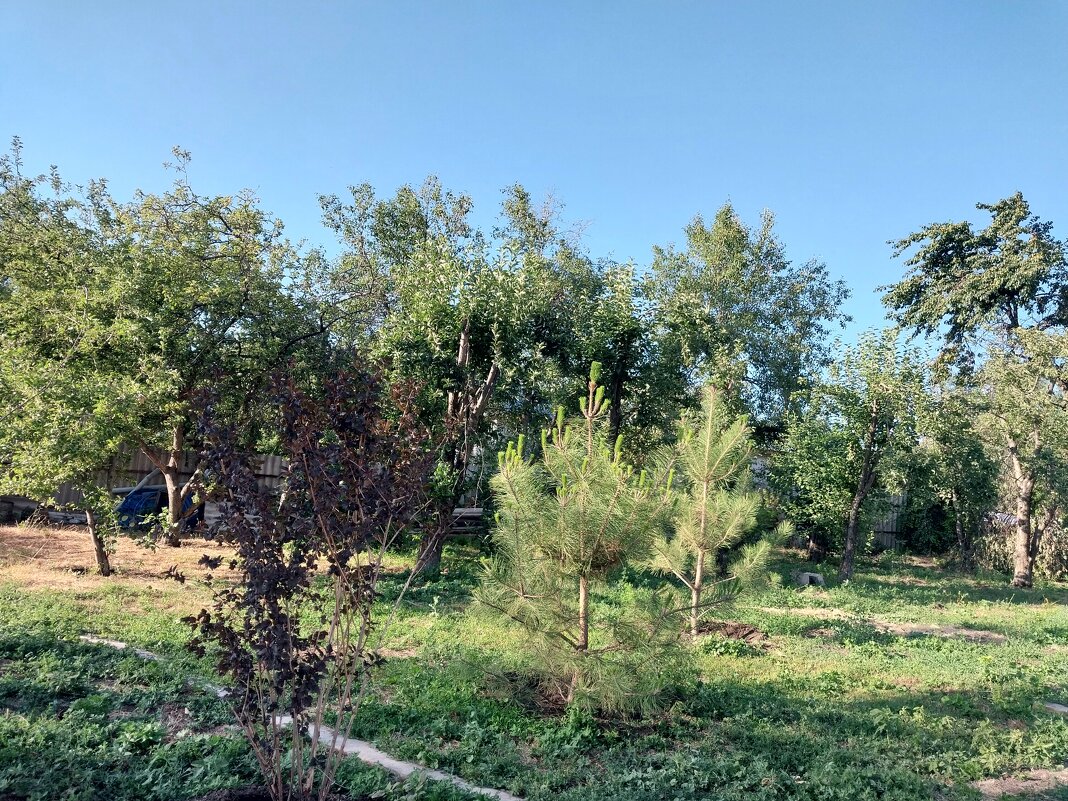 Talgar. - Murat Bukaev 