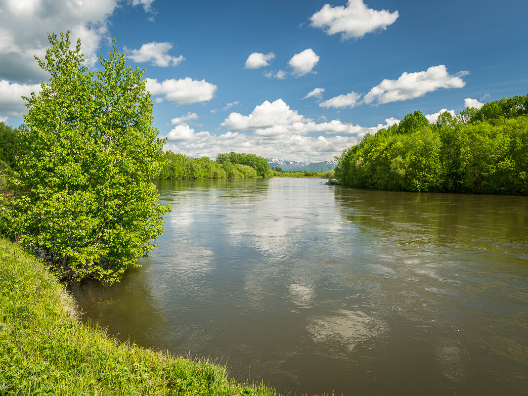 ... - Жора Житников ... - Жора Житников