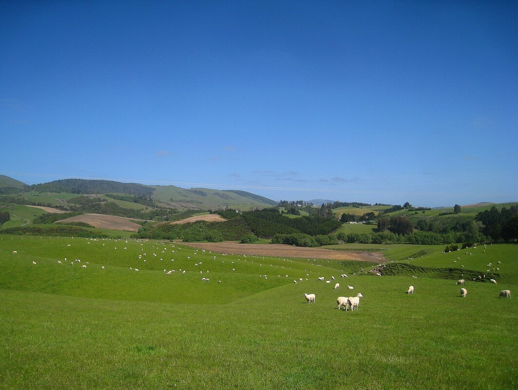 Кусочек Новой Зеландии. - unix (Илья Утропов)