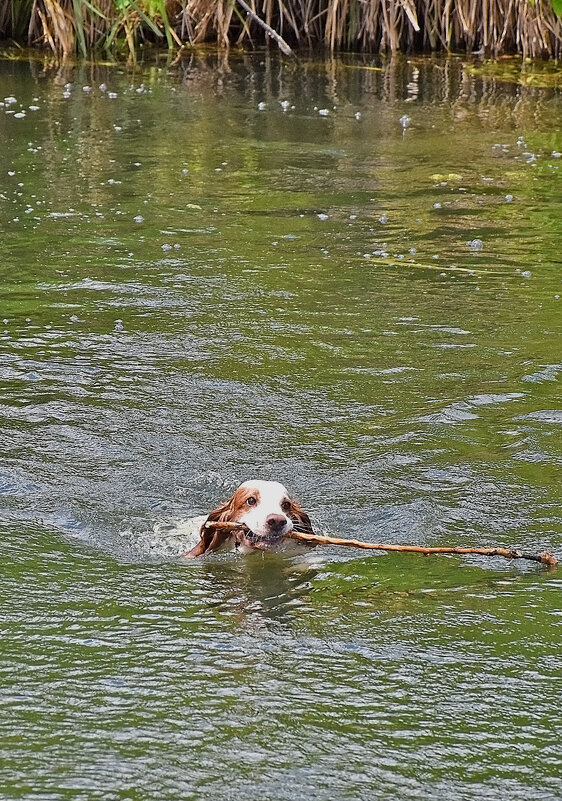 Задание! - Валентина  Нефёдова 