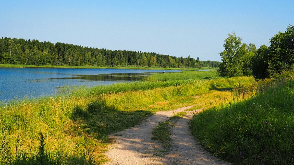 Дорога рыбаков по берегу озера. - Милешкин Владимир Алексеевич 