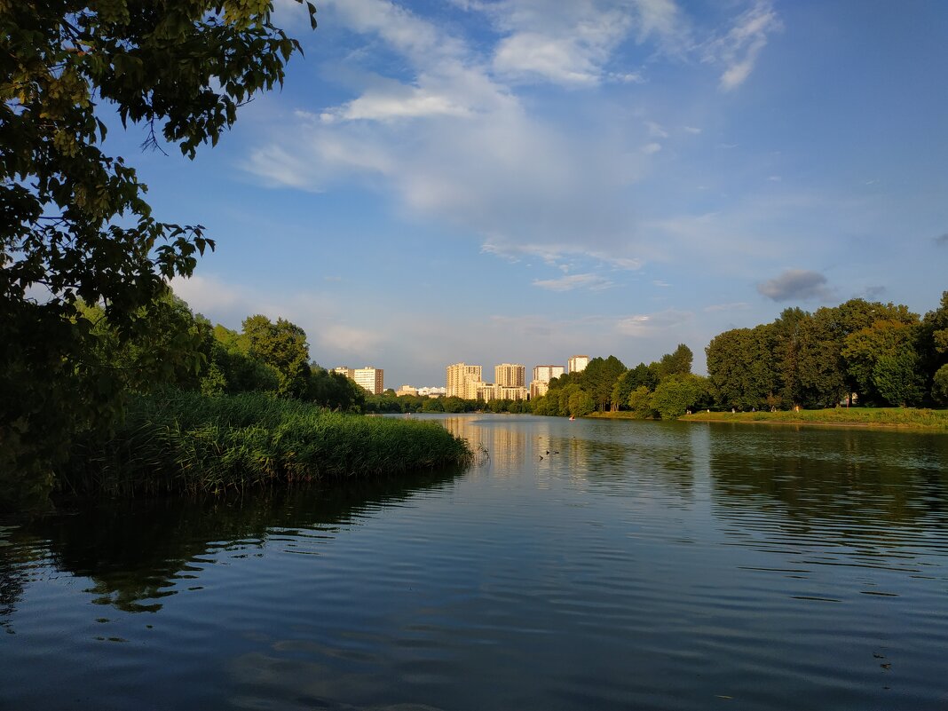 Тема с двумя вариациями - Андрей Лукьянов