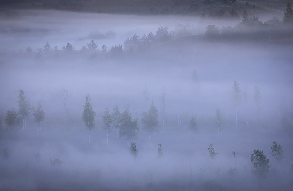 **** - Елизавета .
