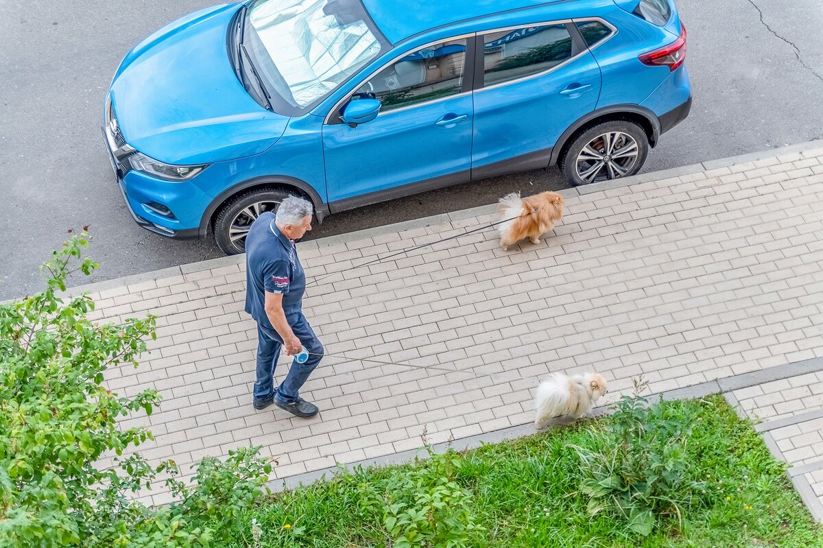 Бабушка завела, а дедушка гуляет - Валерий Иванович