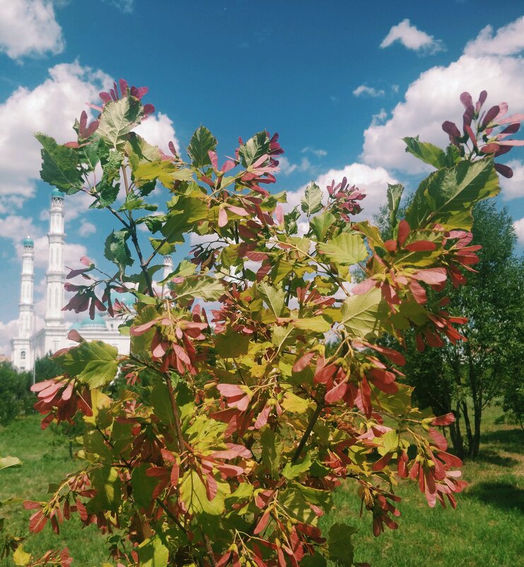 Лето - Андрей Хлопонин