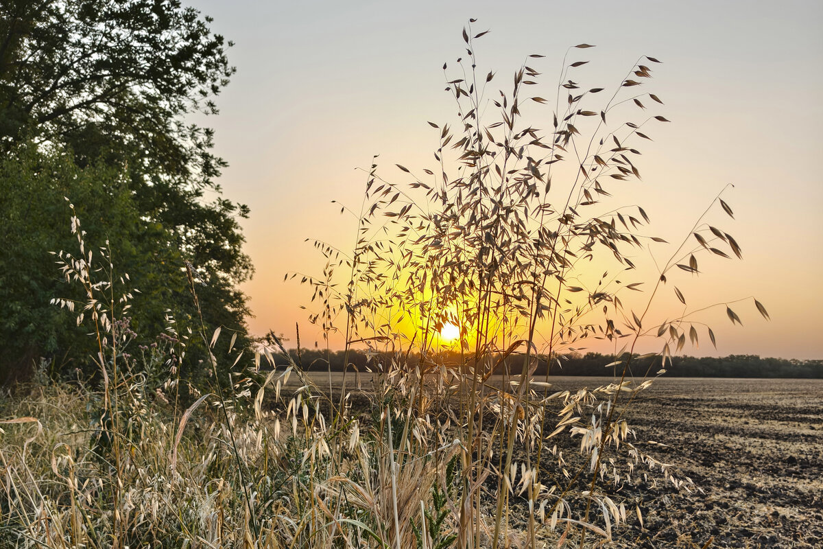 Золотой закат - Валерий Ткаченко