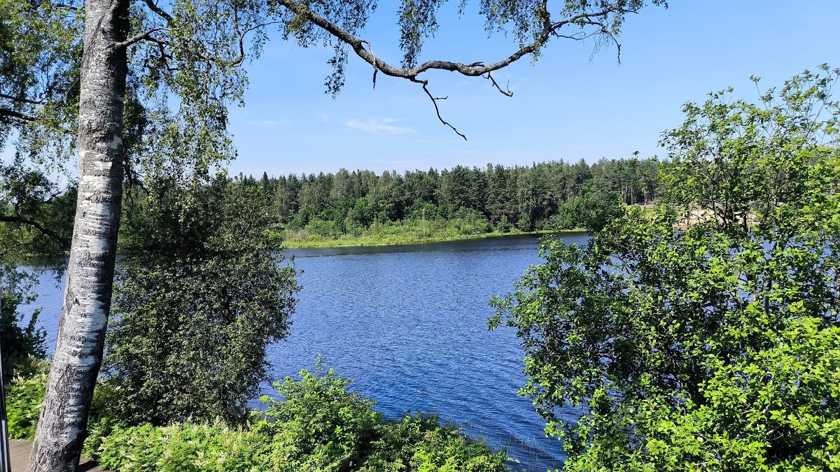 Вид на Рощинское озеро. - Ольга 