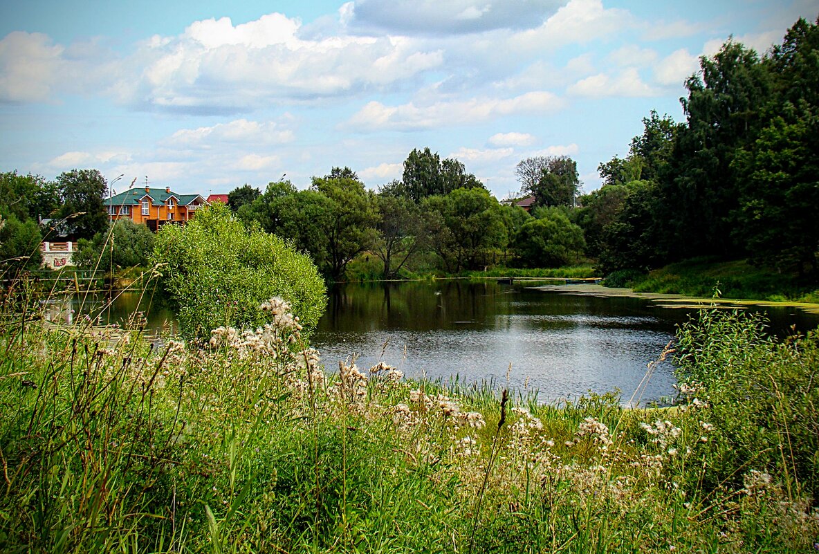 Приусадебный пруд,,, - Анатолий Колосов Приусадебный пруд,,, - Анатолий Колосов