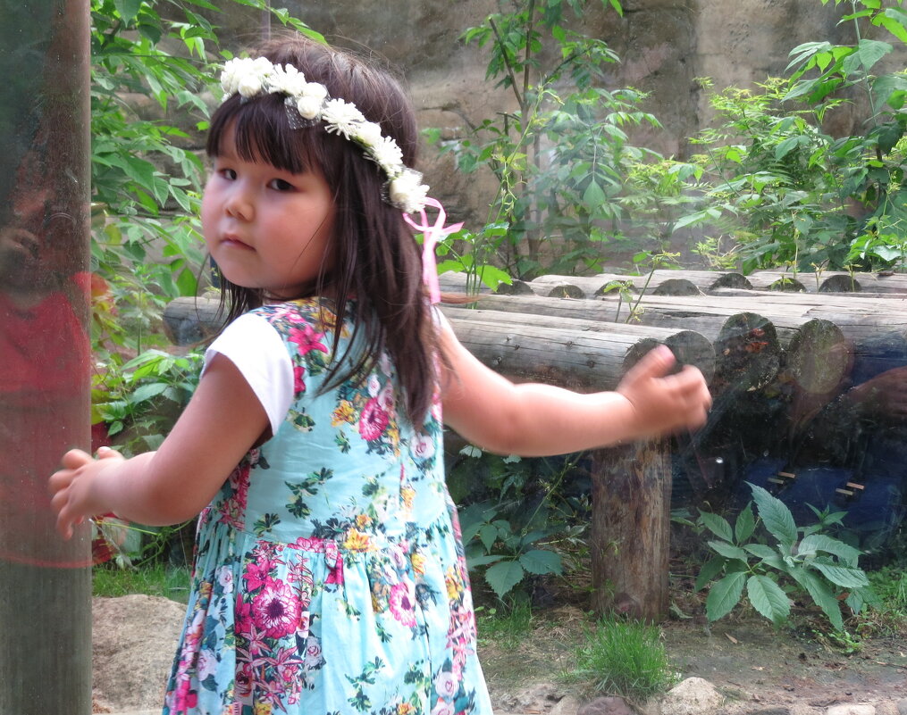 остановись, мгновенье - ИРЭН@ . остановись, мгновенье - ИРЭН@ .