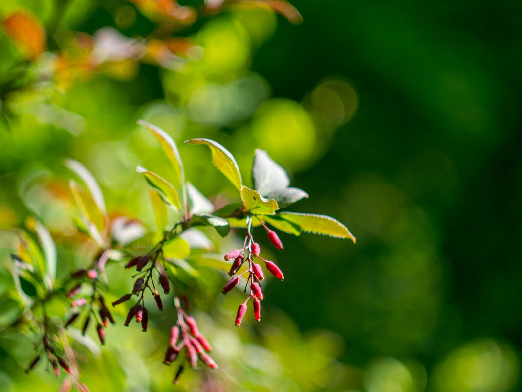 ___ - Yuriy V ___ - Yuriy V