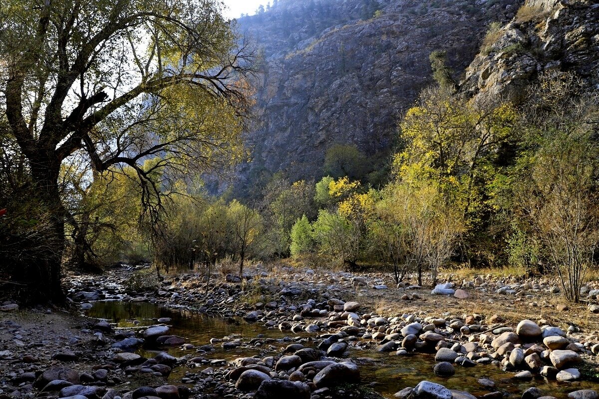 ПО НИЗАМ. - Виктор Осипчук