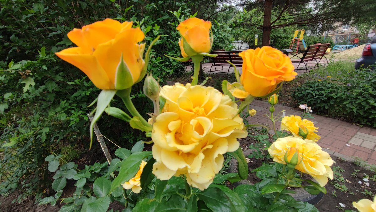 ,,, - Сергей Тимоновский