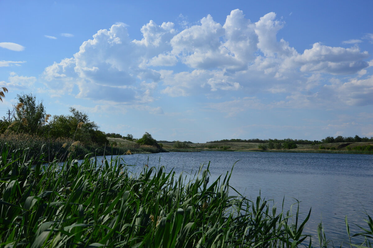 У пруда. - Виктор 