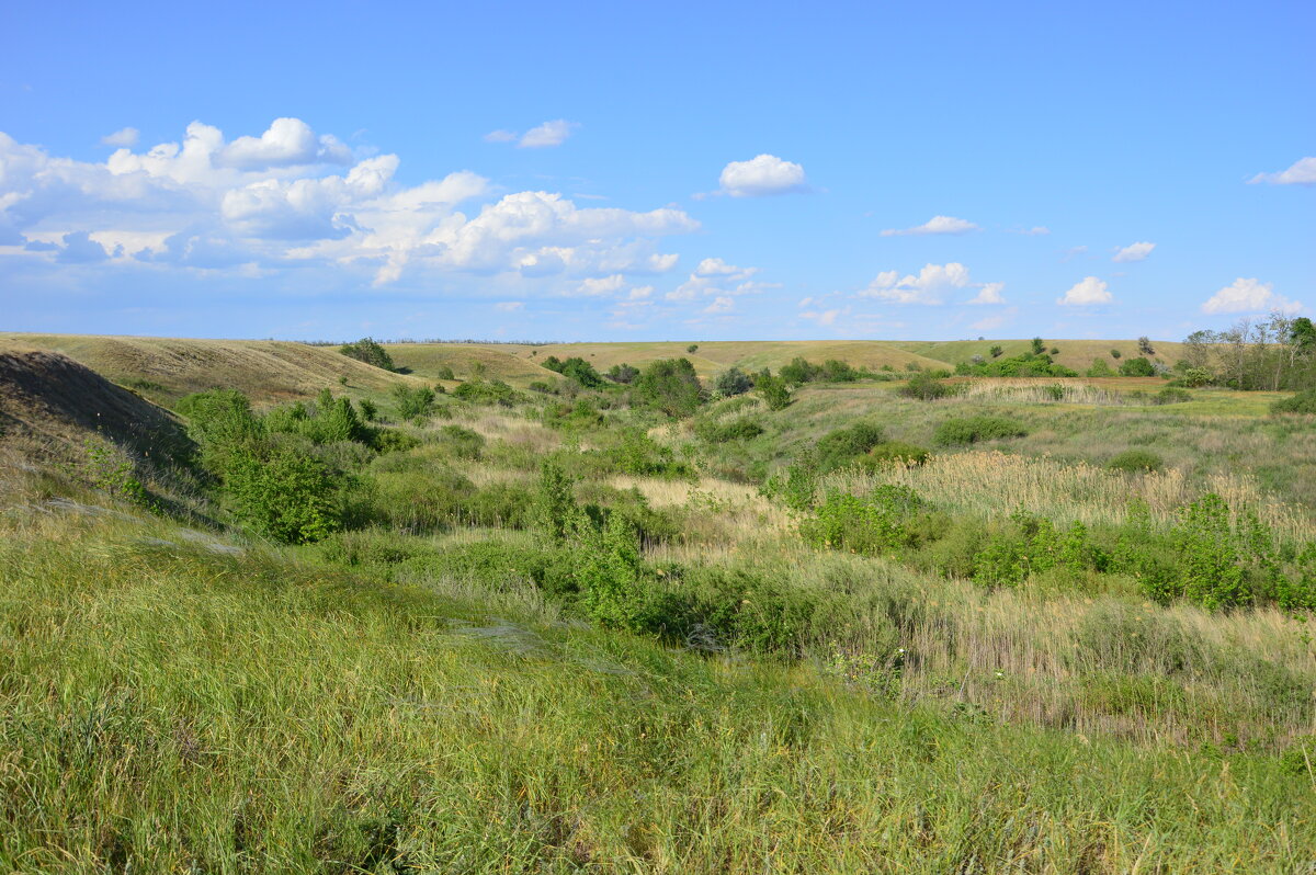 Донская степь. - Виктор 