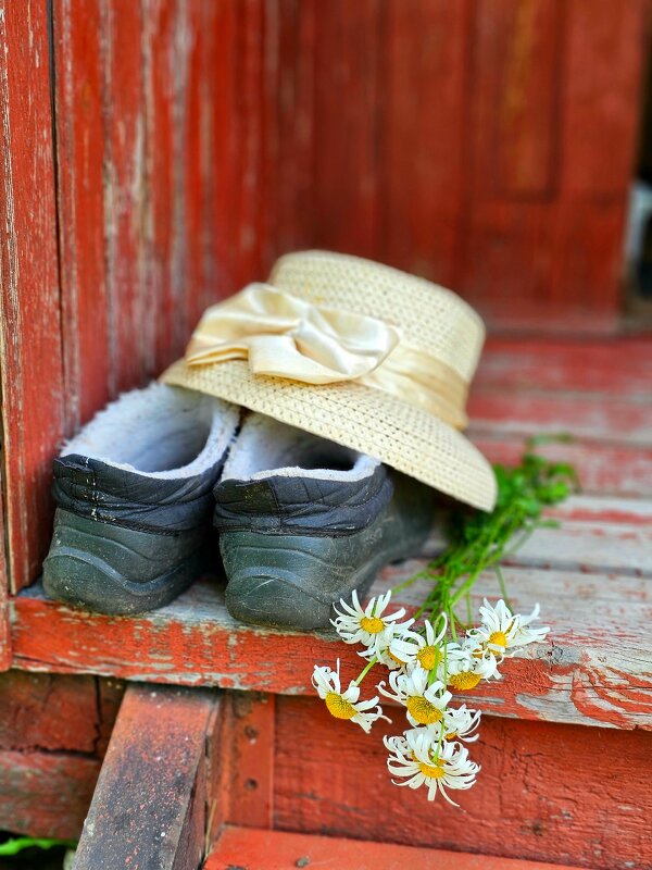 Дачный стиль. - Галина Левина