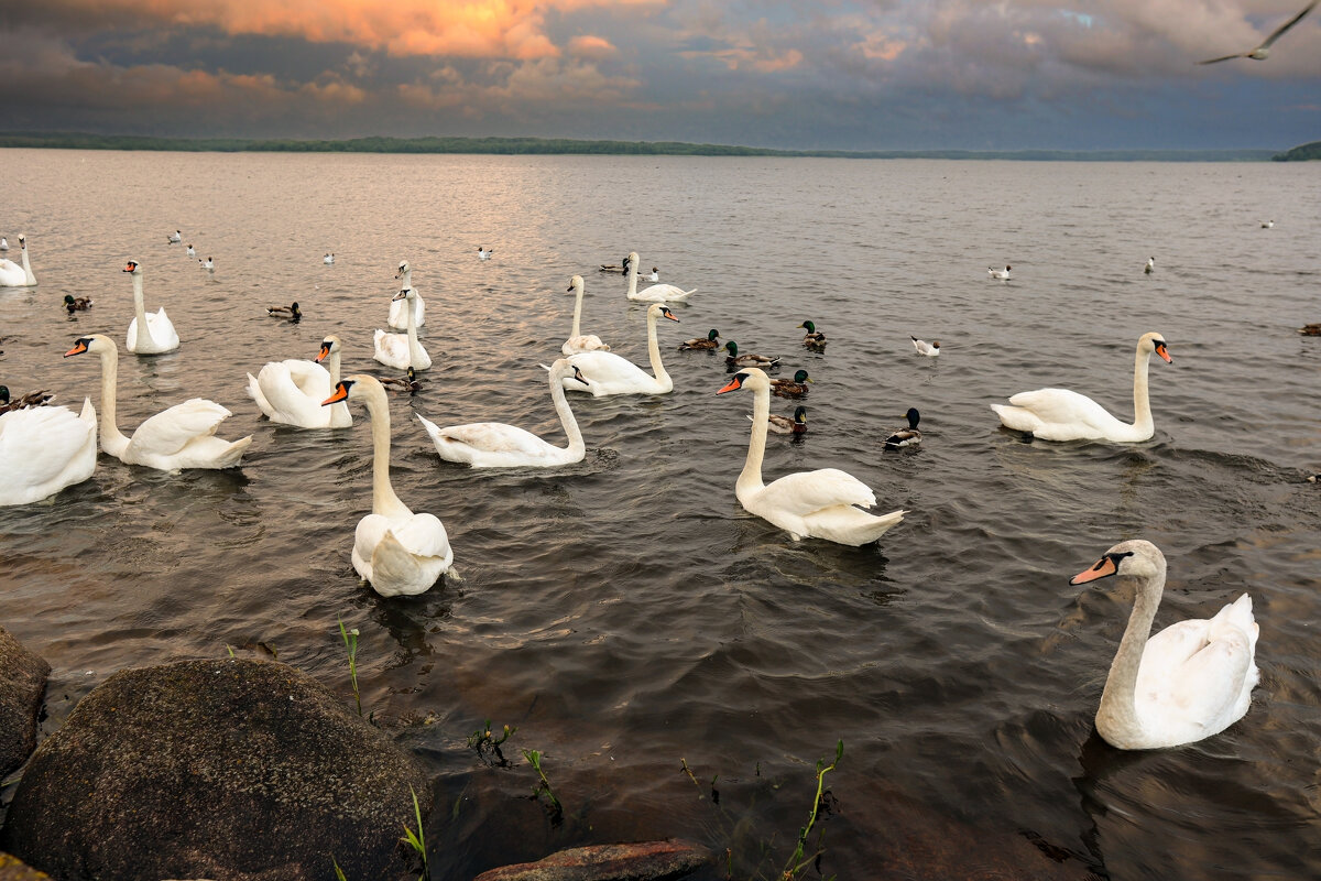 Себежское озеро - skijumper Иванов