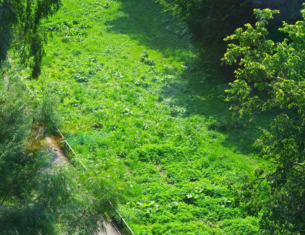 +29С ! На дворе - на солнце +33С ! - Юрий Куликов