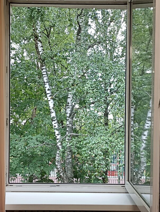 Вид из окна - Татьяна Тюменка