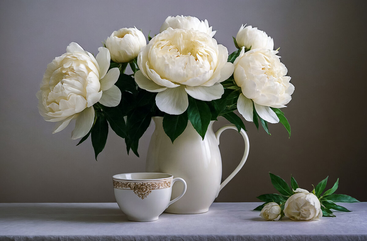Пионы белые - Aleksey Afonin Пионы белые - Aleksey Afonin