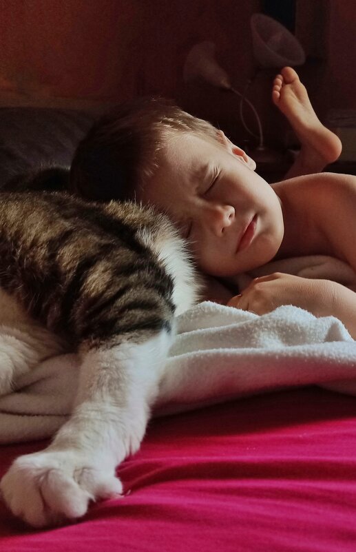 ... - ВЛАДИМИР 