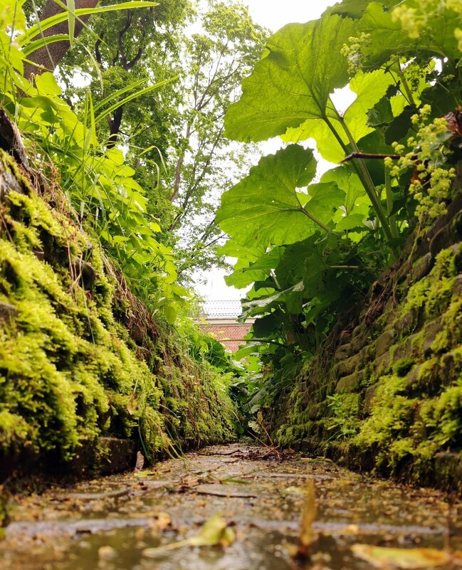 *    *    * - Елена 