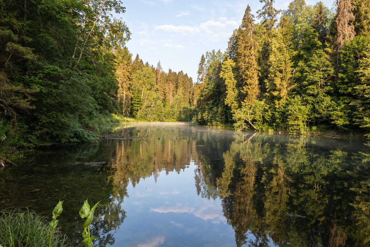 Июльские пейзажи: лесное озеро. - Игорь Викторов Июльские пейзажи: лесное озеро. - Игорь Викторов