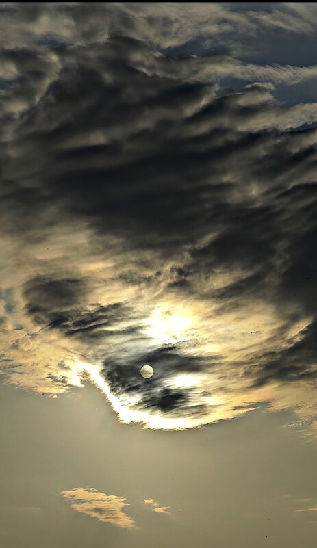 небо утром - Наталия 