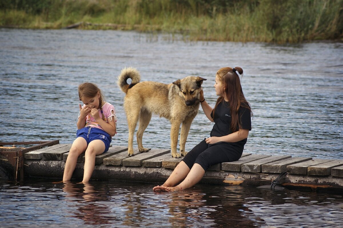 Верный друг - Олег Иванов
