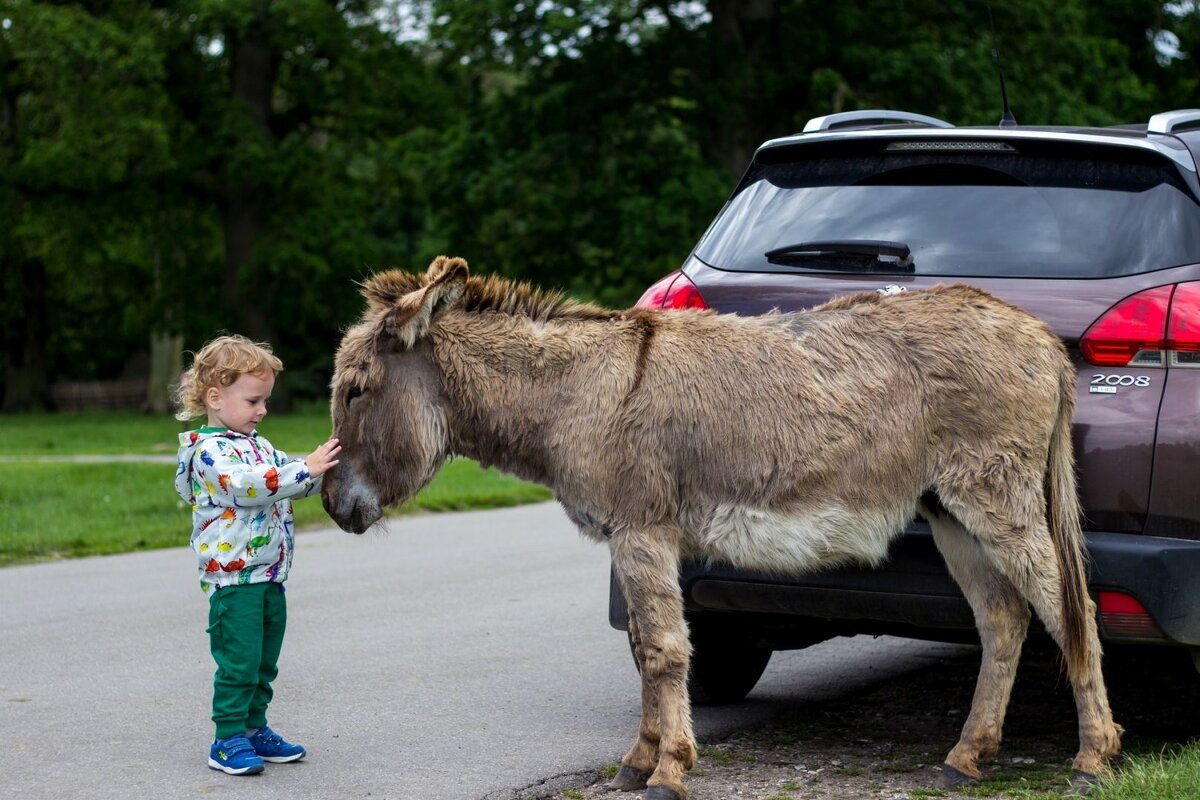 Знакомство - Олег Иванов