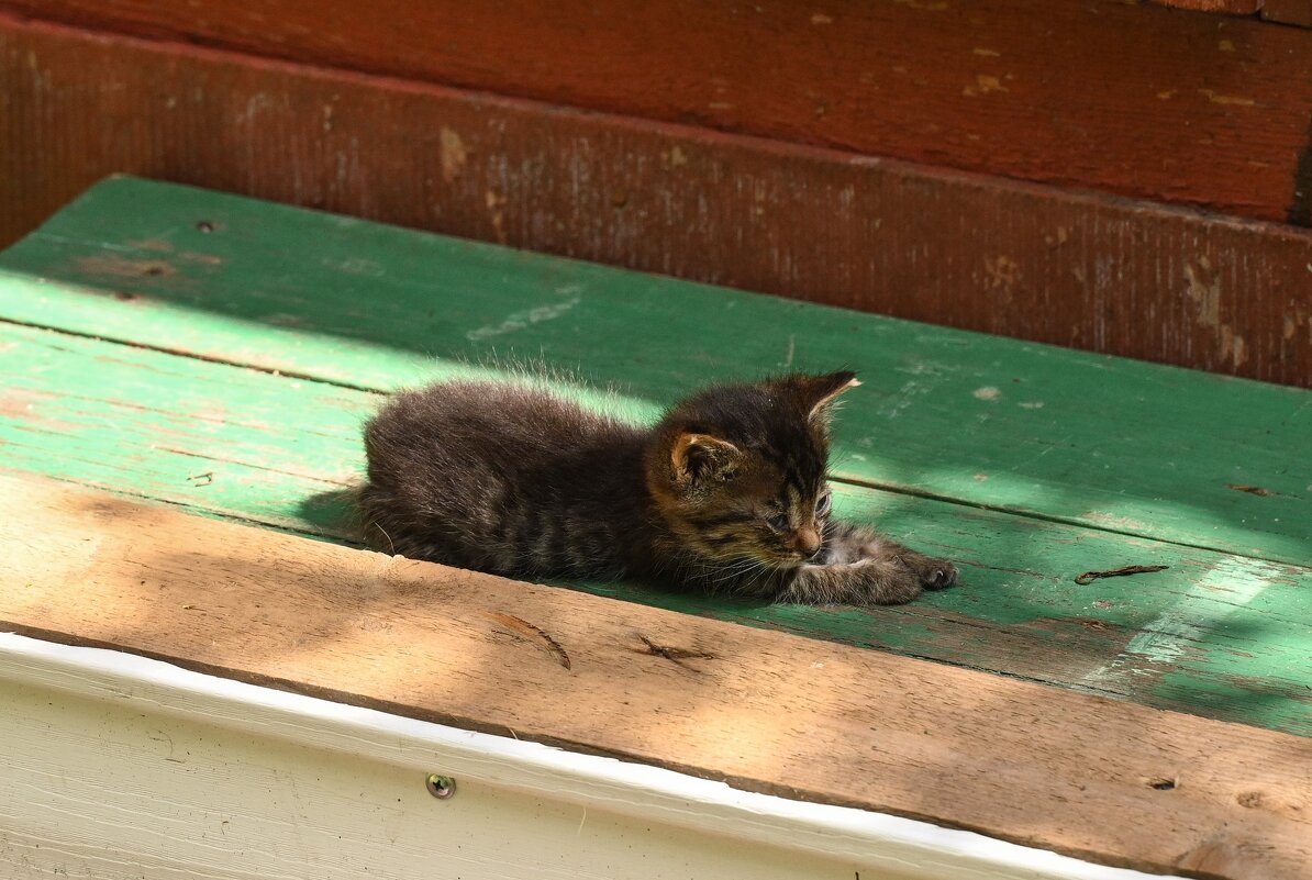 * - Вадим * - Вадим