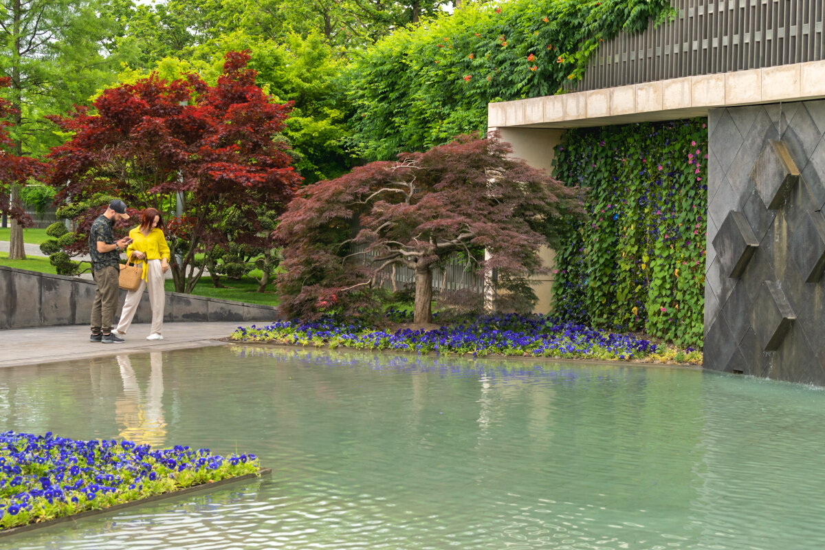 Прогулка в парке Галицкого - Игорь Сикорский Прогулка в парке Галицкого - Игорь Сикорский