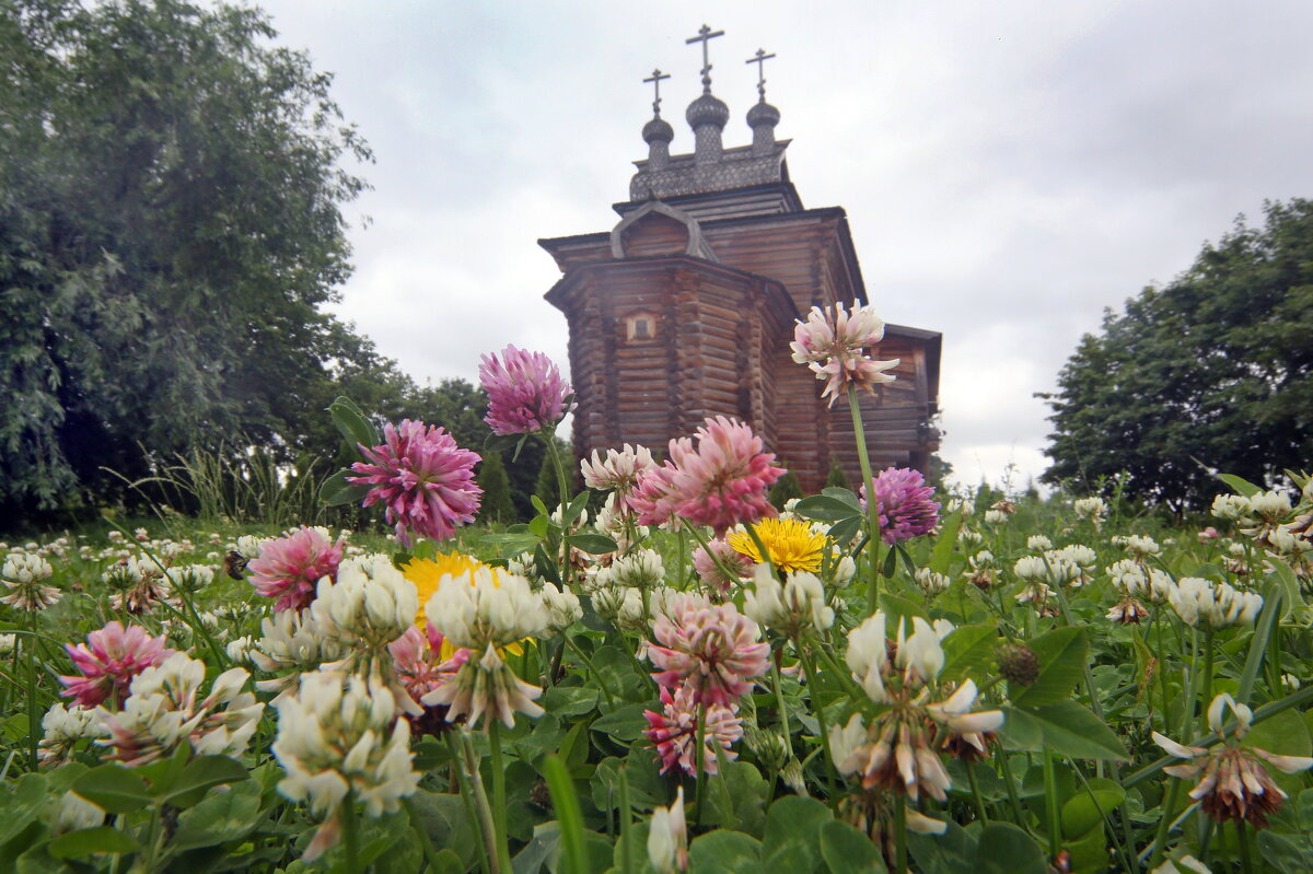 Коломенское - Михаил Бибичков